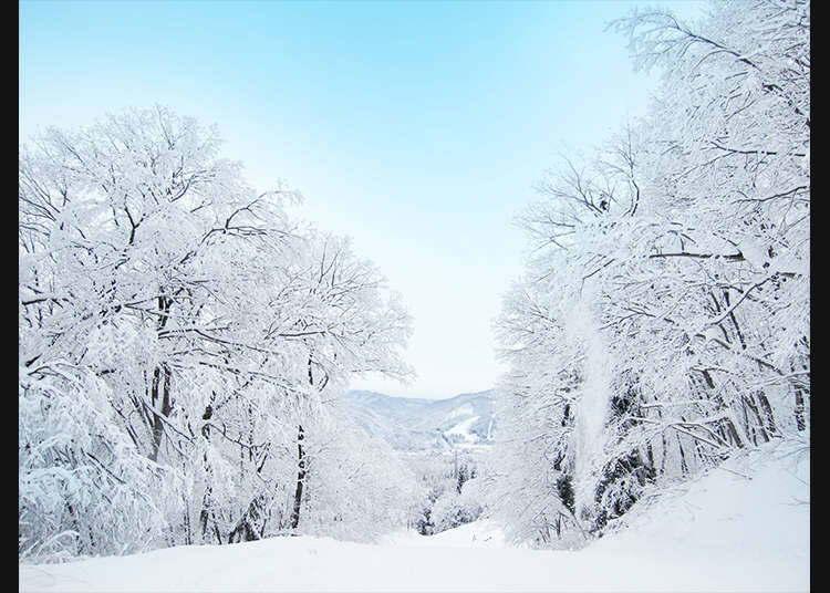 7. When and where does it snow in Japan?