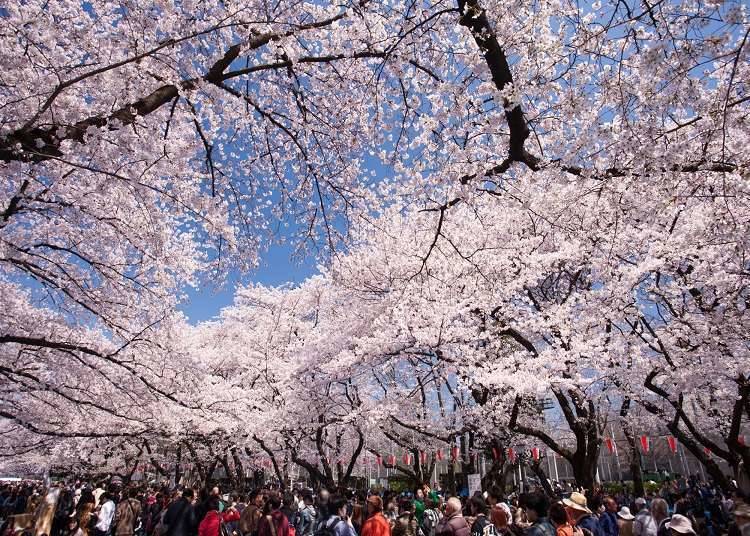 Overview of Asakusa and Ueno