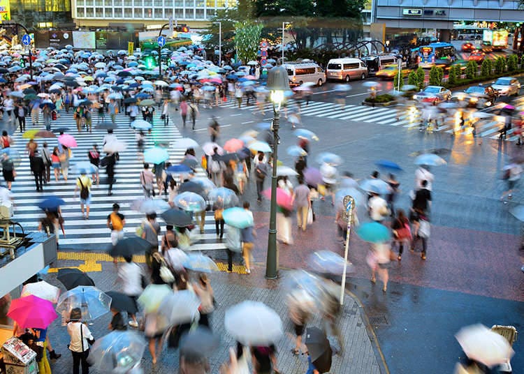 Shibuya Scramble Crossing