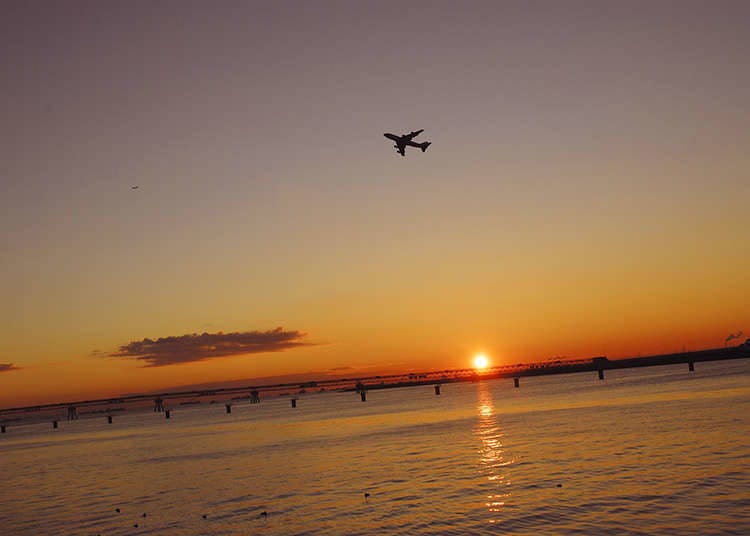 Morning Suggestion 1: Catch the Sunrise at Tokyo Bay!