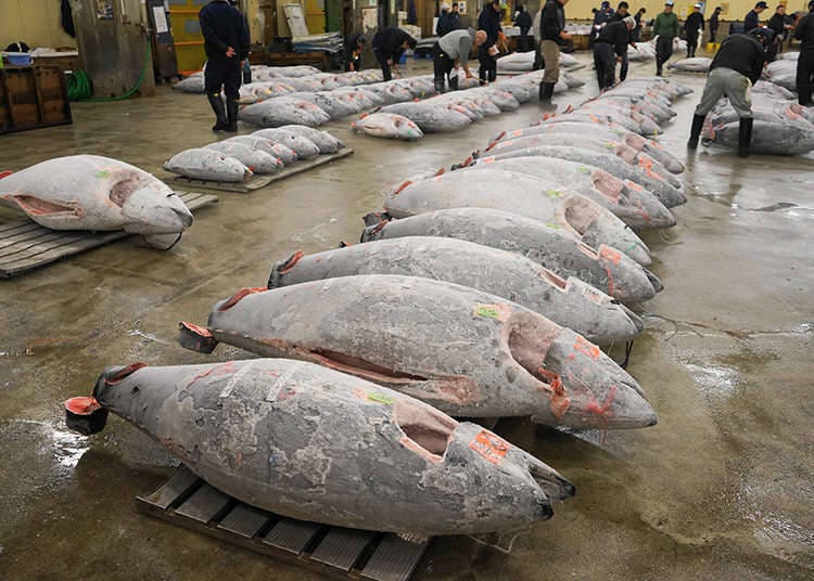 Berkunjung di Pasar Nomor Satu Di dunia, Area Tsukiji