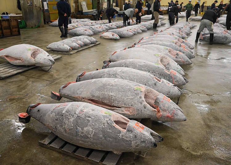 Bersiar-siar di sekitar kawasan Tsukiji, pasar yang terbaik di dunia.
