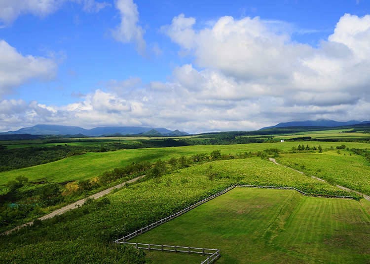 Hokkaido: Tanah Dosanko