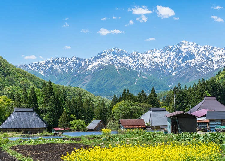 Woodlands and alps