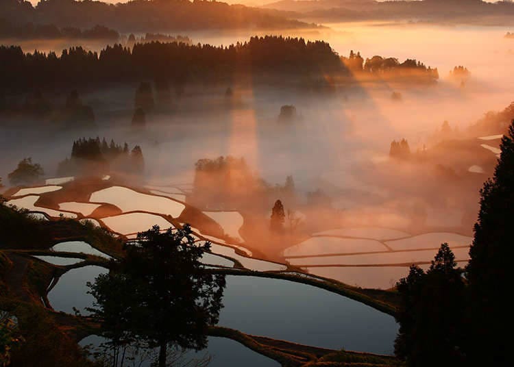 Wilderness landscapes in Japan