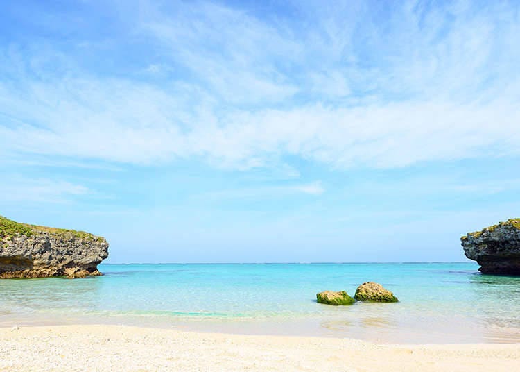 美麗的海