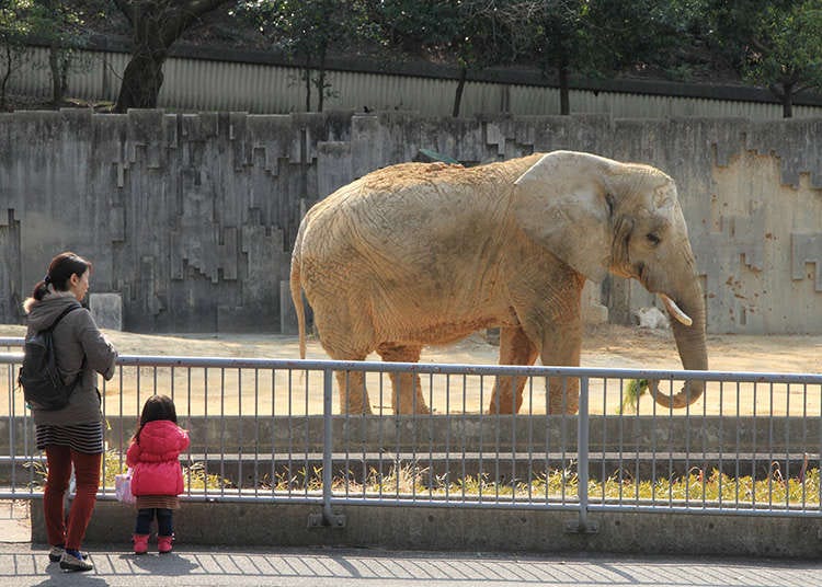 Zoos and Aquariums