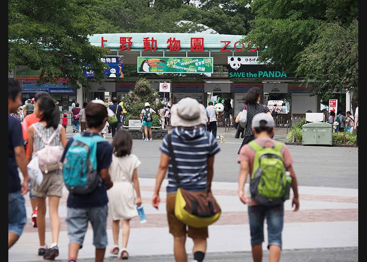 The famous Ueno Zoological Gardens