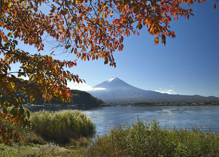 About Japan's Four seasons