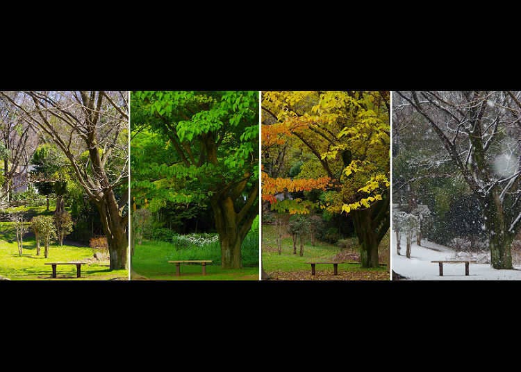 The four seasons in Japan