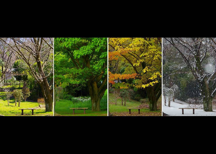 The four seasons in Japan