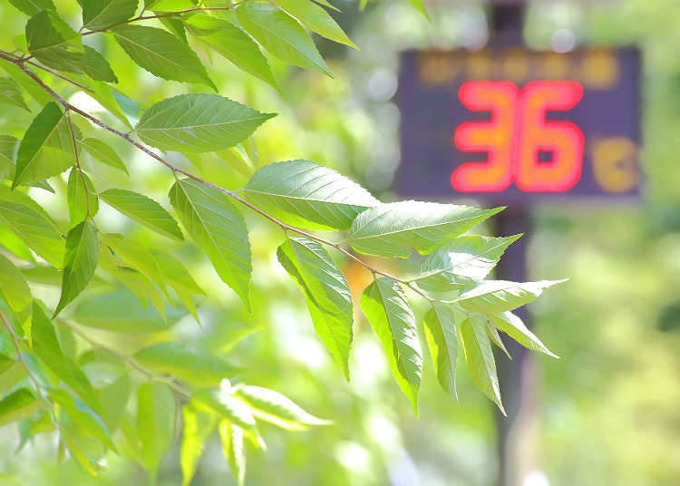 Heat waves in Japan