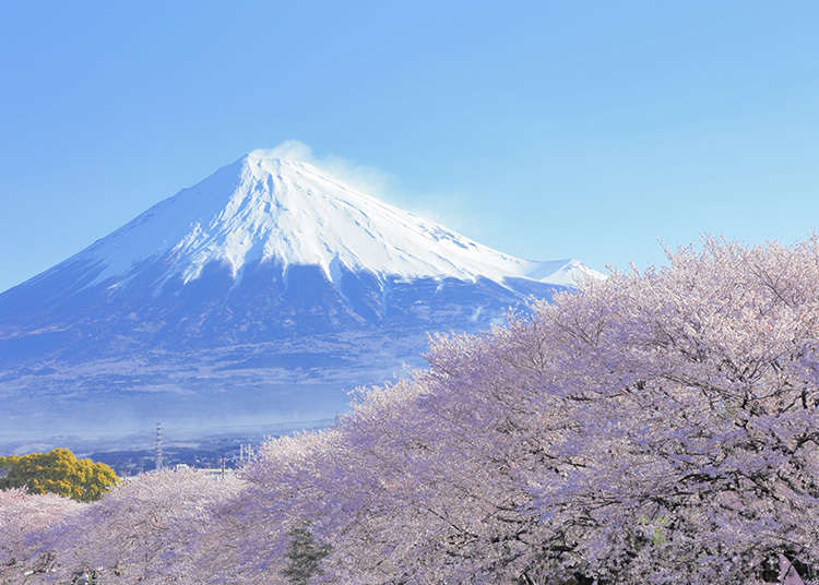 黃金週