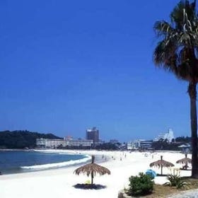 大阪近郊の美しいビーチ6選:関西の夢のような夏の目的地