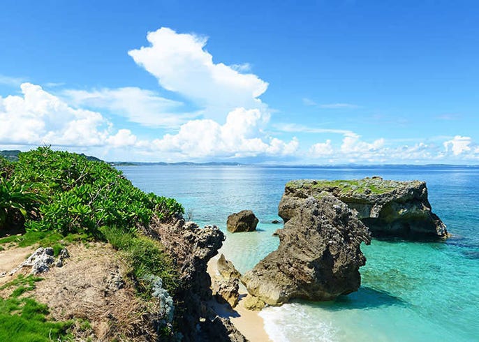 夏季 Live Japan 日本的旅行 旅游 体验向导