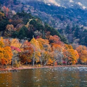 Nikko Day Tour from Tokyo
(Image: Klook)
