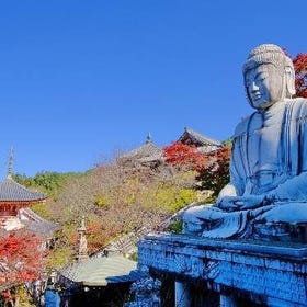 Tur Daun Musim Gugur, Patung Buddha & Gunung Yoshino dengan Aktivitas Memetik Jeruk (Keberangkatan dari Osaka)
Informasi & Pemesanan ▶
(Gambar: Klook)