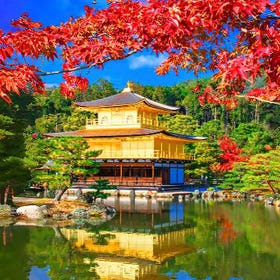 京都精華一日遊:二條城、金閣寺、嵐山與伏見稻荷大社
查看詳情與預約 ▶
(圖片:KKday)