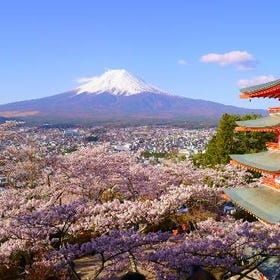 Mt. Fuji and Lake Kawaguchi Scenic Spots Day Tour from Tokyo
Image: KLOOK