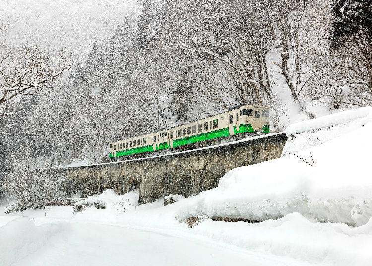 (Photo: Shutterstock)