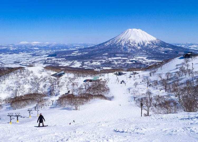 Niseko (Photo: PIXTA)