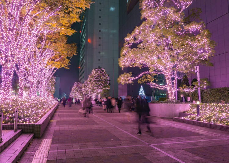 1. 東京の冬といえばイルミネーション