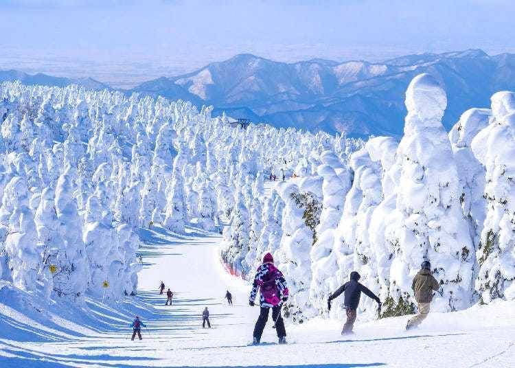 Bermain ski di antara "raksasa salji" Zao. (Foto: PIXTA)