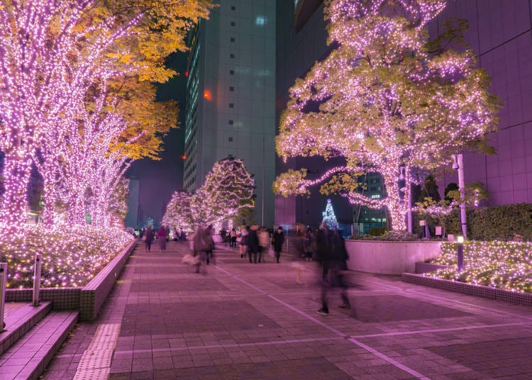 东京冬日的彩灯装饰