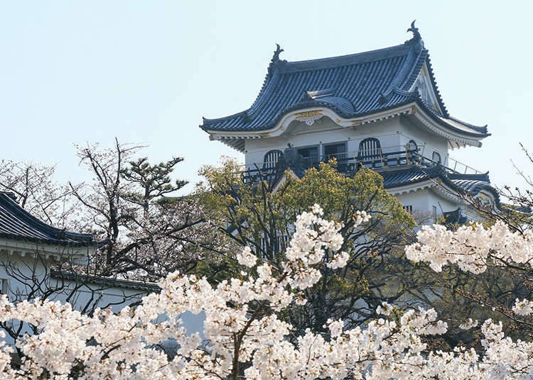 The Characteristics of Japanese Castles