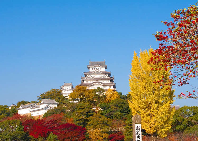 美麗的日本的城堡