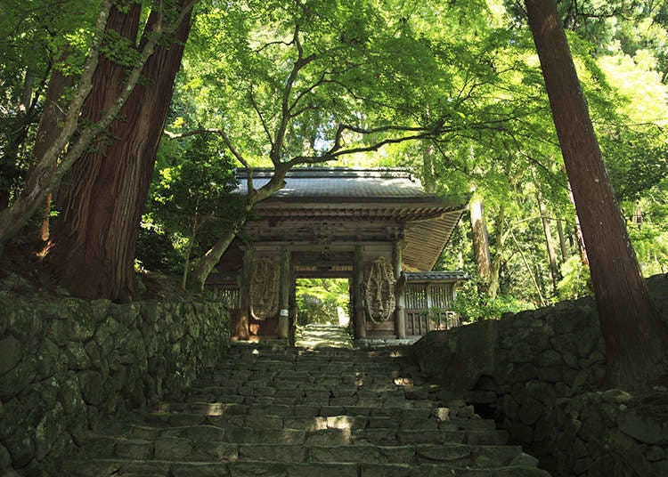 What are Shaji-ato and Kyu-keidai?
