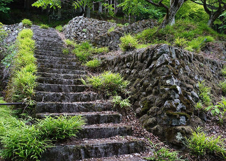 聚落遺跡