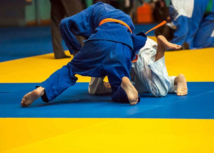 Seni mempertahankan diri: Judo