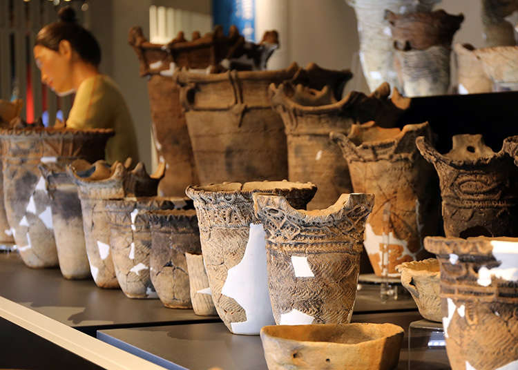 陶器品的歷史