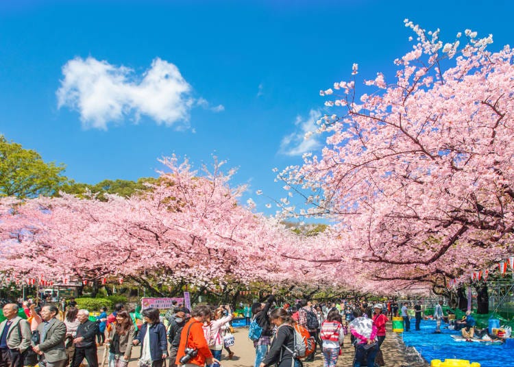 上野