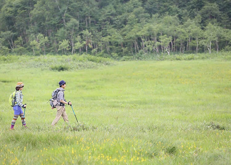 การเดินทางไกล