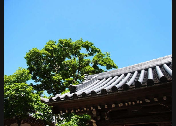 Buddhist Temples