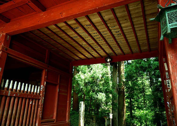 The Main Gate of a Buddhist Temple