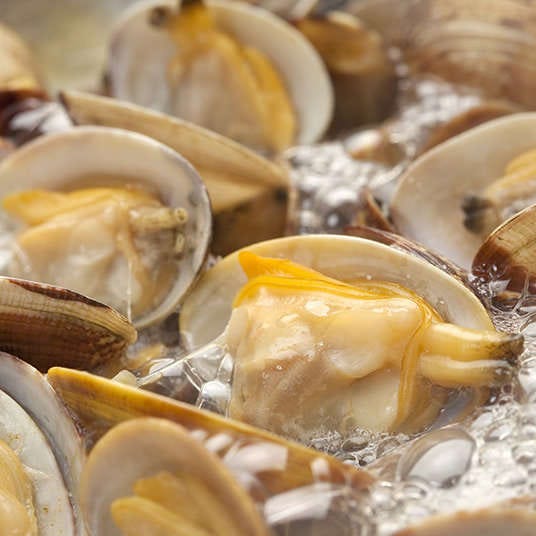 貝料理・磯料理 - LIVE JAPAN (日本の旅行・観光・体験ガイド)