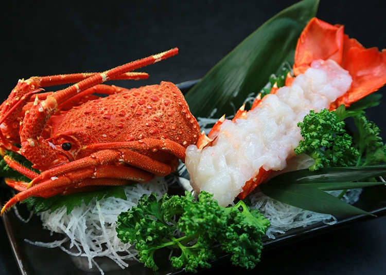 Japanese spiny lobster