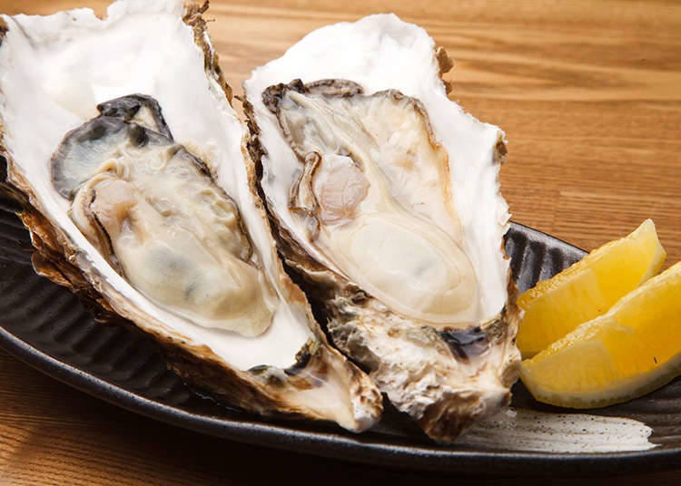 Oysters