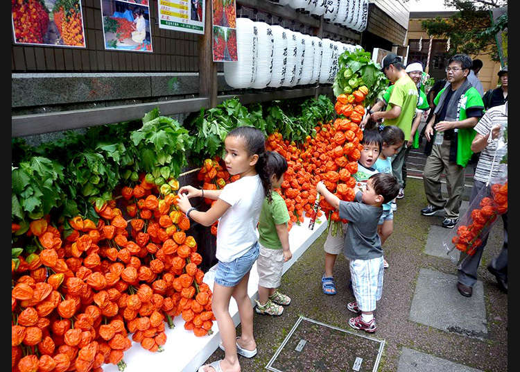 6. The Hozuki Market at Asahi-jinja Shrine (July 5-6)