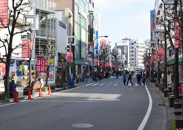用3小时熟悉街道 游吉祥寺 live japan 日本的旅行 旅游 体验向导