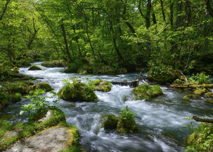 Valley, mountain stream, river and lake