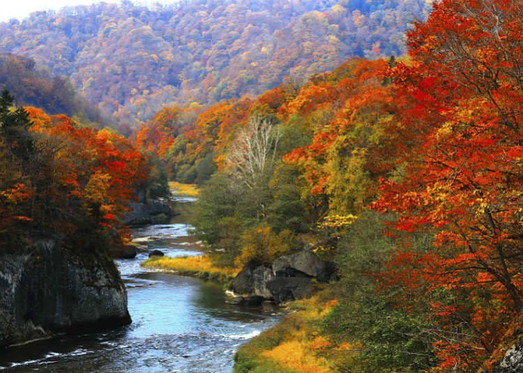 About Japanese valley and mountain stream