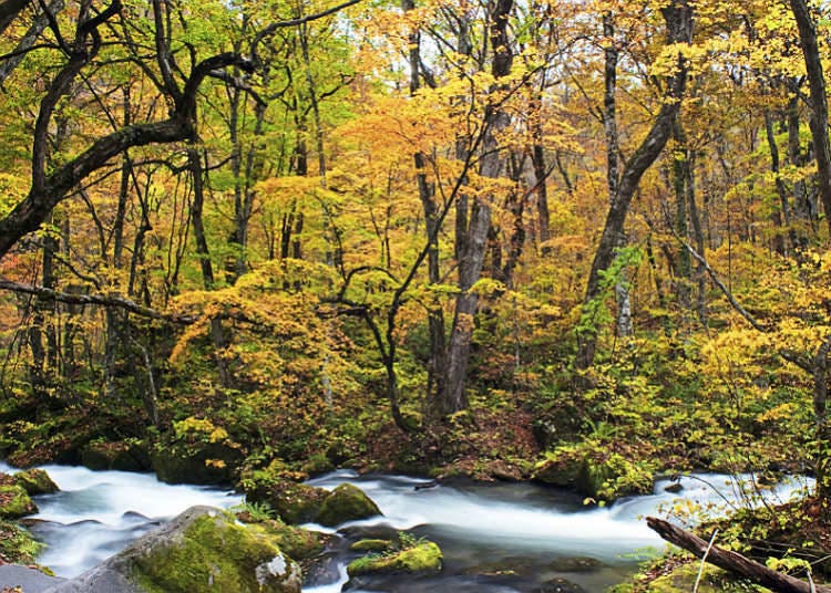 Famous valleys and mountain streams of Japan
