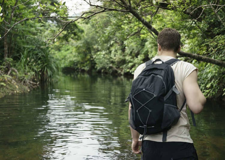 How to enjoy valleys and mountain streams