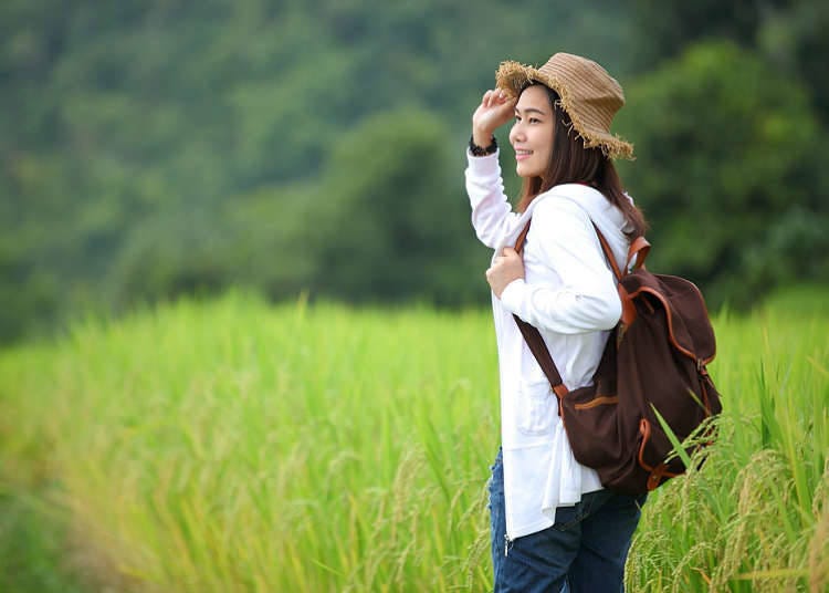 Sightseeing in farm villages