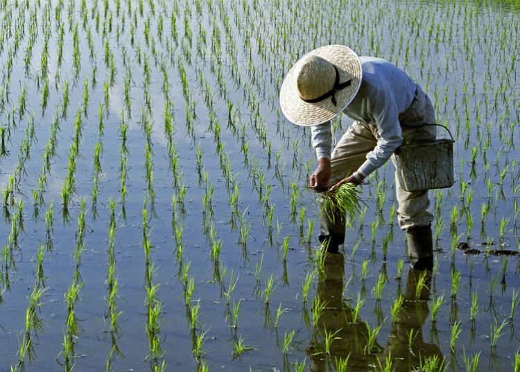 Farmers with second jobs and an increase in the number of people moving out of the villages