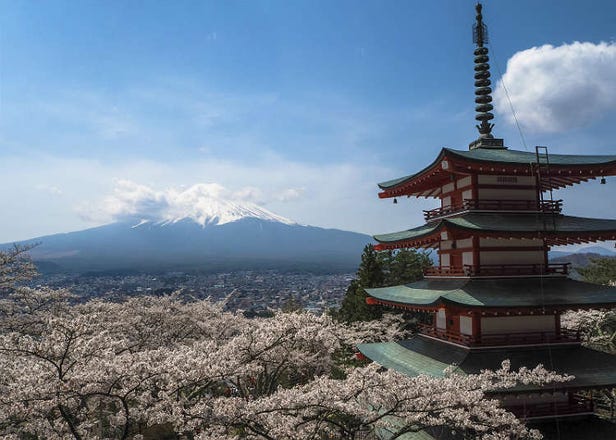 文化遺産